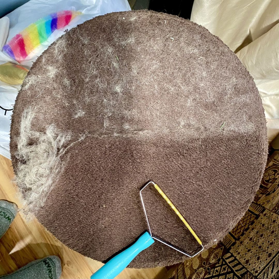 Poils d’animaux retirés d’un fauteuil en tissu avec KLINPAW